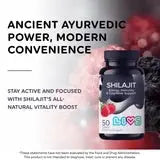 LIVS Shilajit Gummies Holisticastore