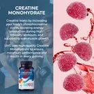 LIVS Creatine Gummies Holisticastore