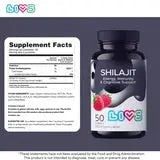 LIVS Shilajit Gummies Holisticastore