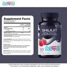 LIVS Shilajit Gummies Holisticastore